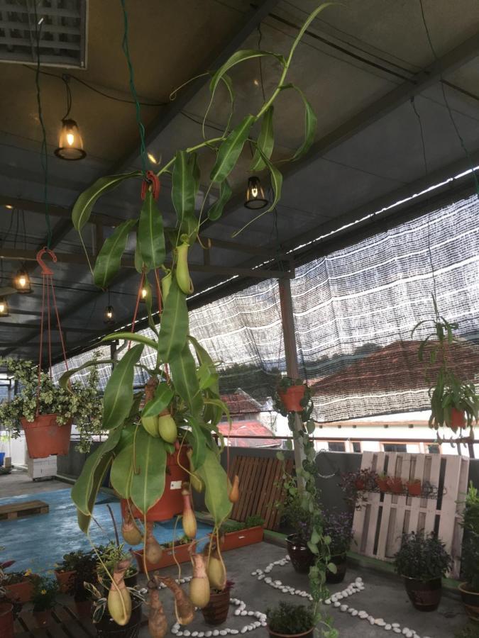 איפוה Anderson Hotel מראה חיצוני תמונה